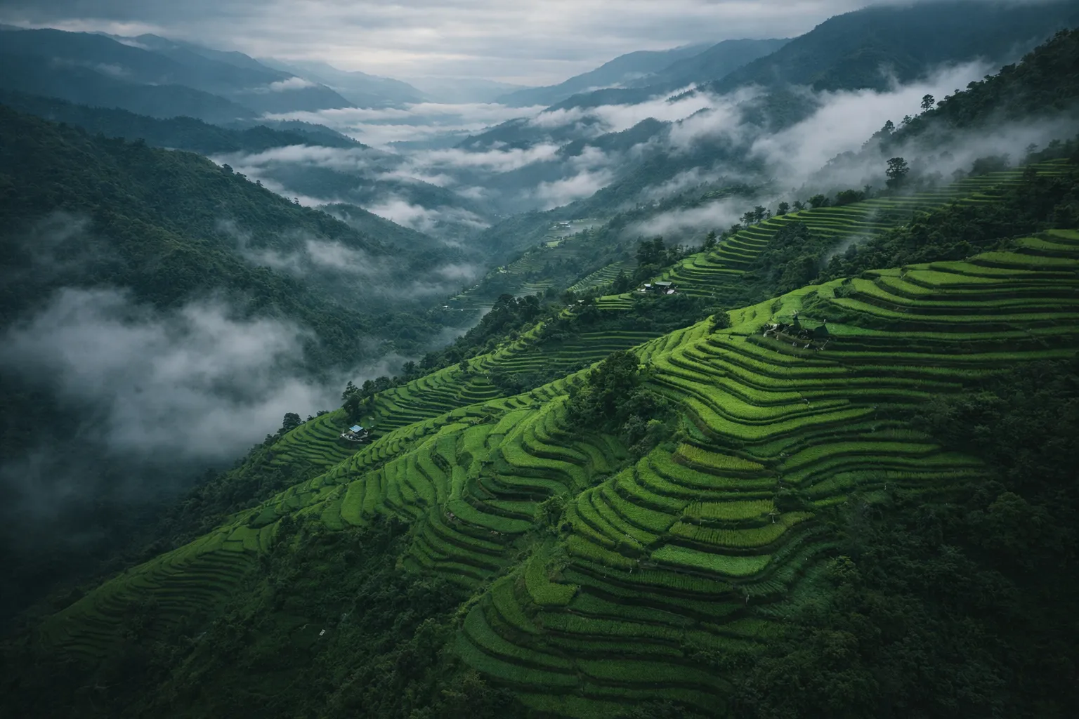 Goljyu Engineering Team